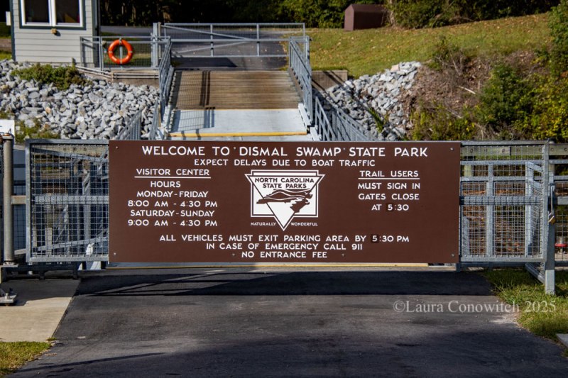 Dismal Swamp State Park
