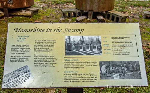 Dismal Swamp State Park