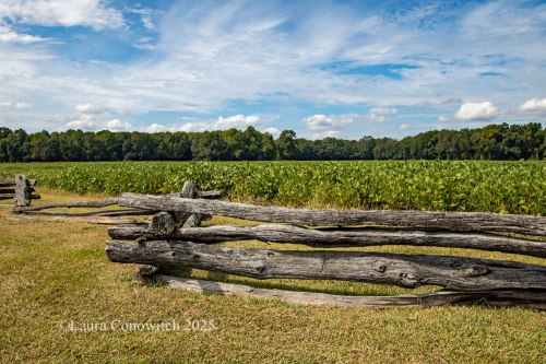 Bentonville Battlefield State Historic Site