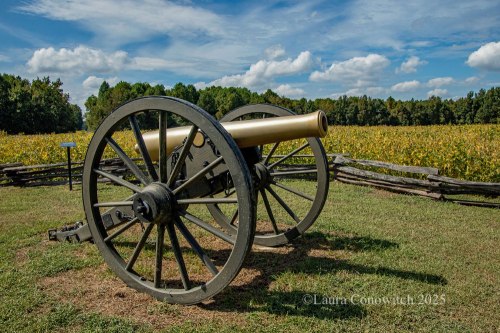 Bentonville Battlefield State Historic Site
