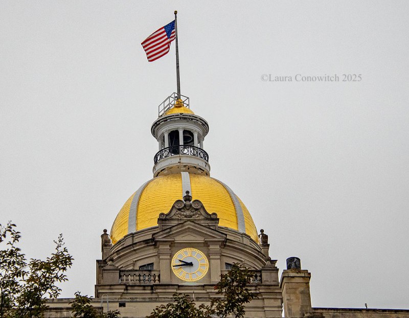 Historic District, Savannah Waterfront, Georgia