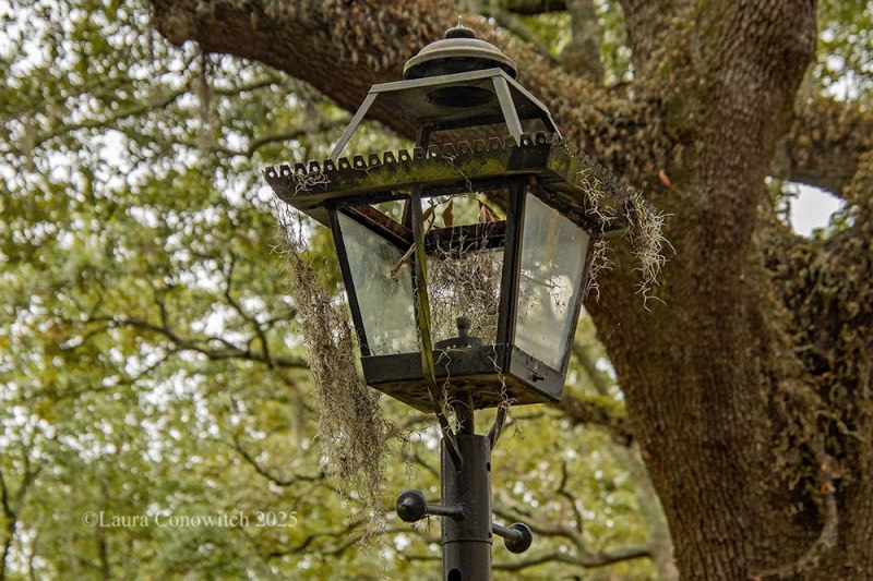 Emmet Park, Savannah, Georgia