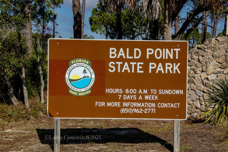 Bald Point State Park, Alligator Point, Florida