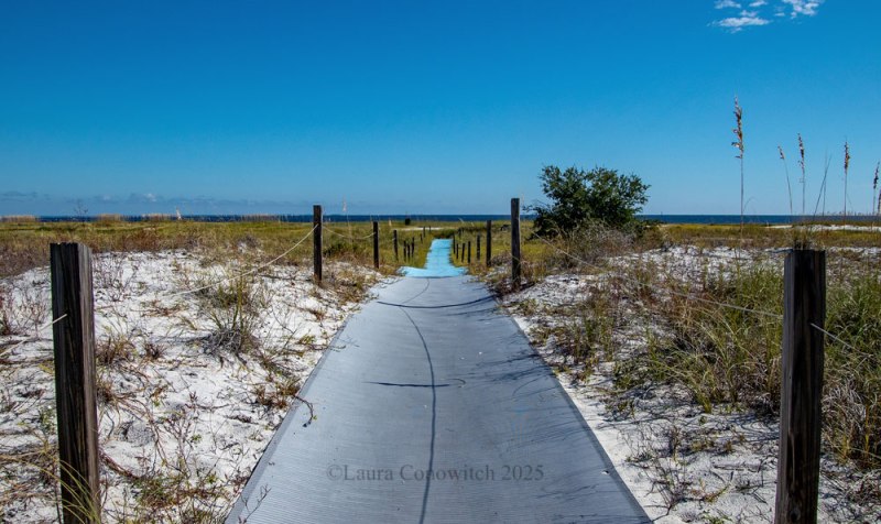 Bald Point State Park, Alligator Point, Florida