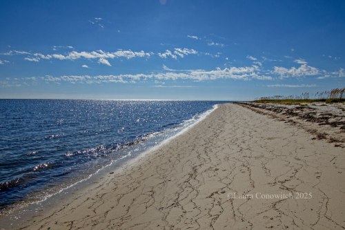 Bald Point State Park, Alligator Point, Florida