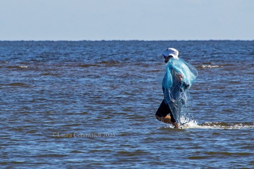 Bald Point State Park, Alligator Point, Florida