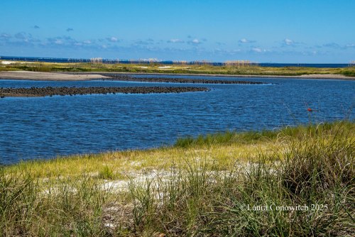Bald Point State Park, Alligator Point, Florida