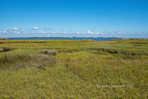 Bald Point State Park, Alligator Point, Florida