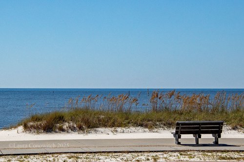 Beauvoir The Jefferson Davis Home and Presidential Library
