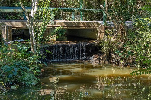 Beauvoir The Jefferson Davis Home and Presidential Library