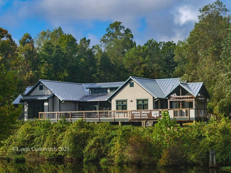 Dismal Swamp State Park