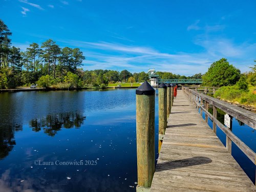 Albemarle and Chesapeake Canal