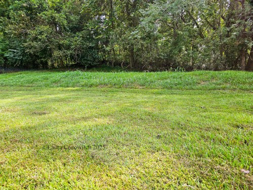 Grand Village of the Natchez Indians, Mississippi