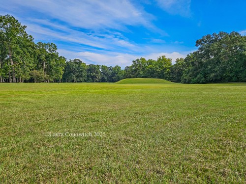 Grand Village of the Natchez Indians, Mississippi