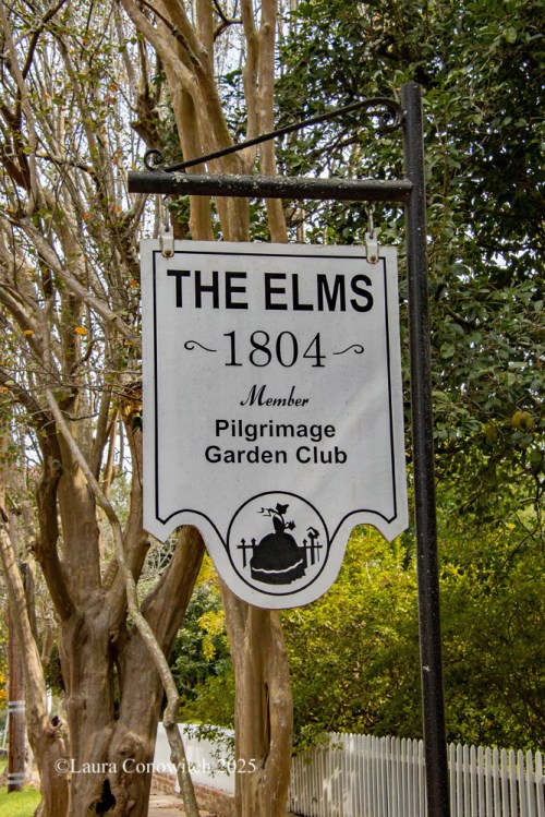 The Elms, Natchez, Mississippi