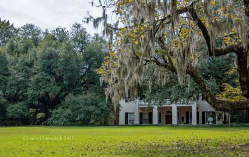 Monmouth Historic Inn , Natchez, Mississippi