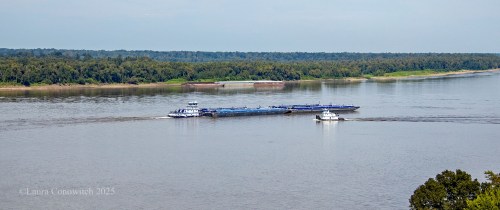 Mississippi River, Natchez, Mississippi