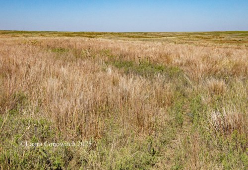 Boot Hill Museum, Dodge City, Kansas