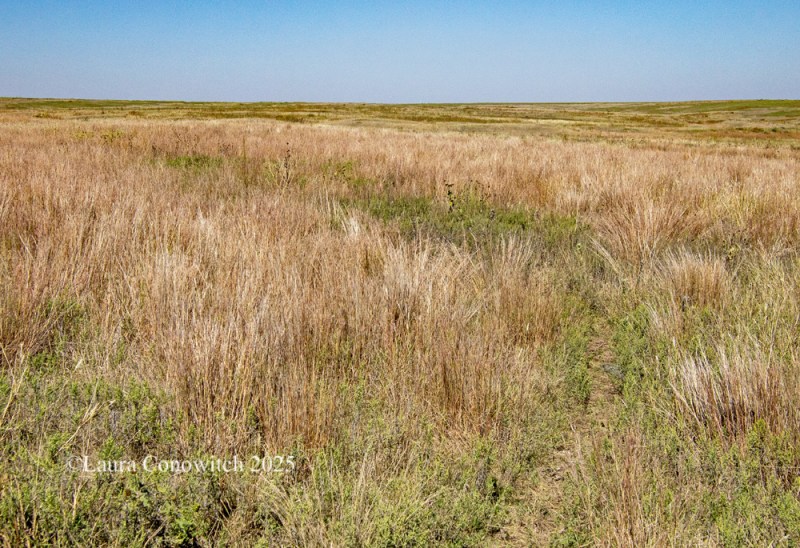 Boot Hill Museum, Dodge City, Kansas