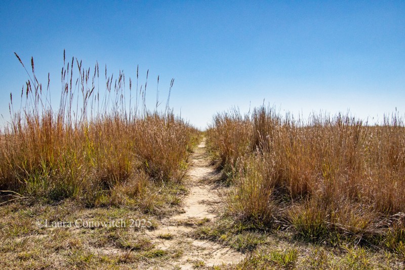 Boot Hill Museum, Dodge City, Kansas
