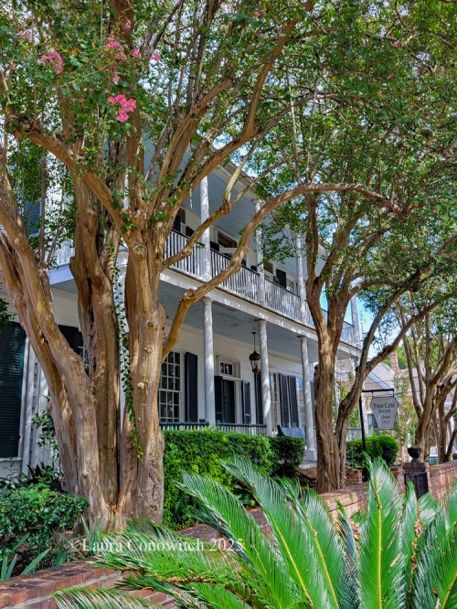 Peter Crist House, Natchez, Mississippi