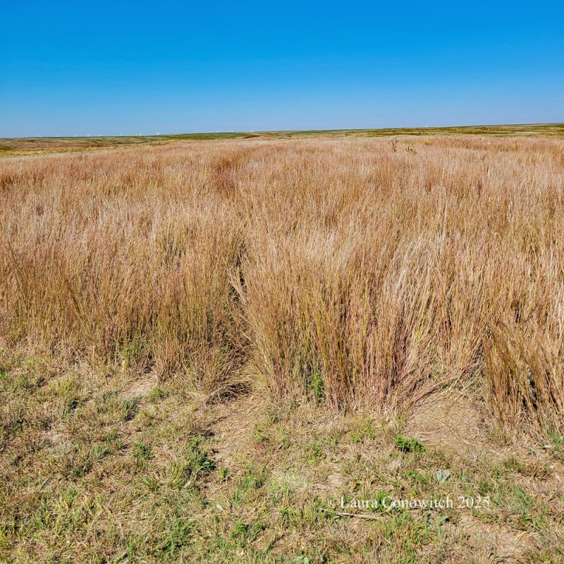 Boot Hill Museum, Dodge City, Kansas