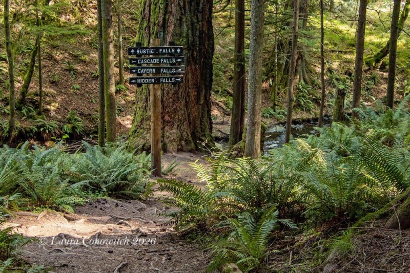 Moran State Park-Orcas Island