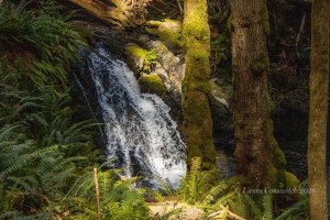 Moran State Park-Orcas Island
