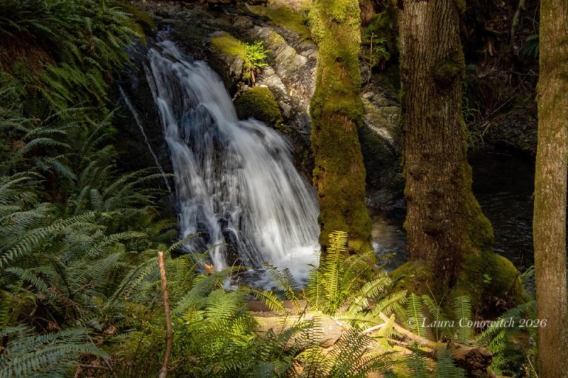 Moran State Park-Orcas Island