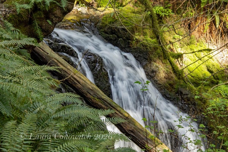 Moran State Park-Orcas Island