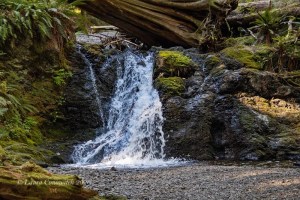 Moran State Park-Orcas Island