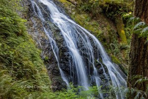 Moran State Park-Orcas Island