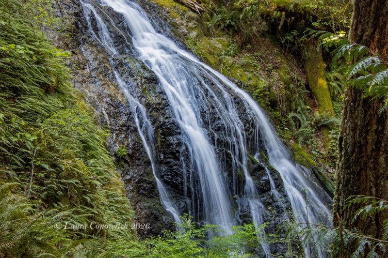 Moran State Park-Orcas Island