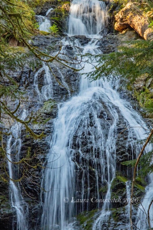 Moran State Park-Orcas Island