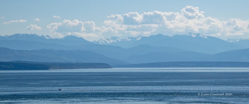 Fort Ebey State Park