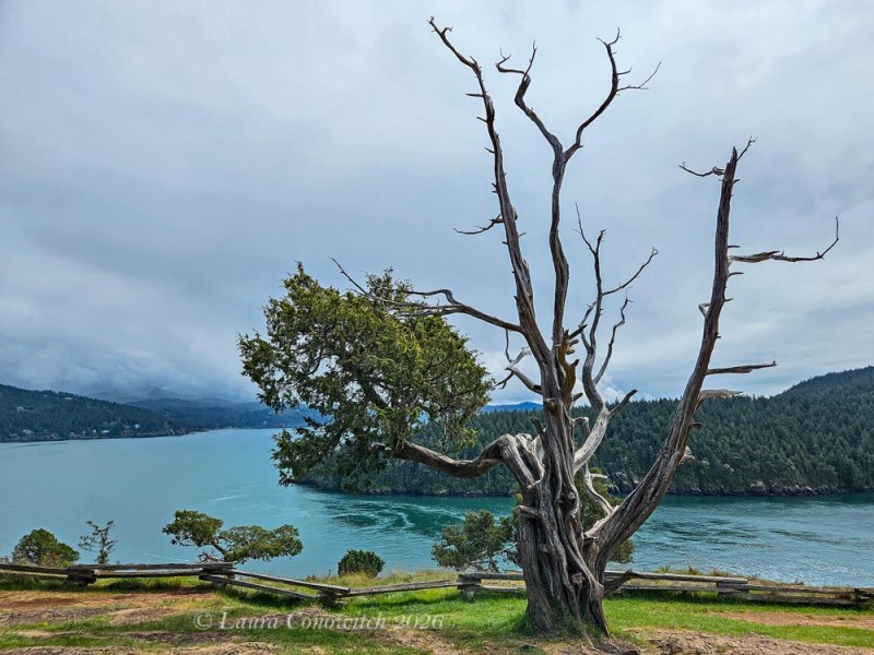 Anacortes Washington Park