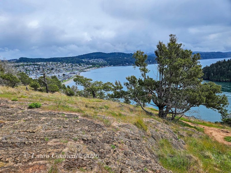Anacortes Washington Park