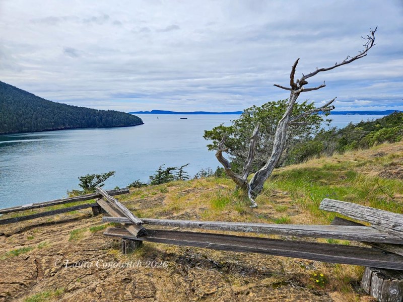 Anacortes Washington Park