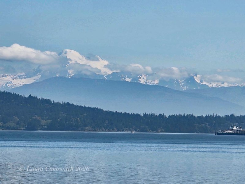 Mount Baker