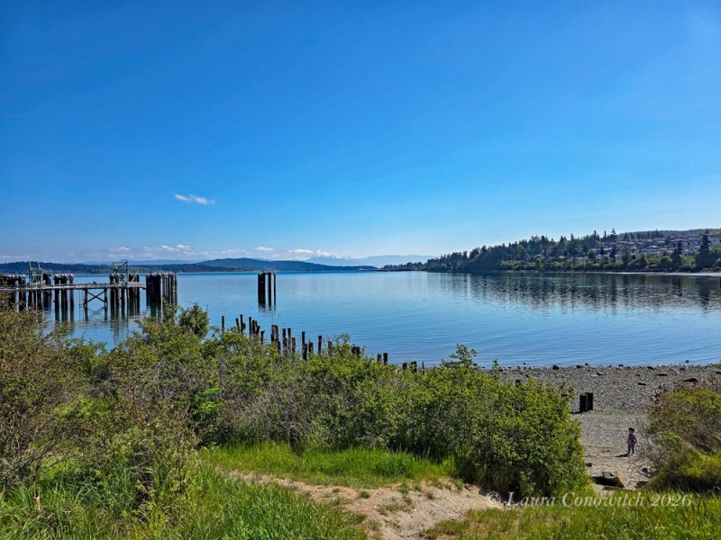 Anacortes Friday Harbor Terminal