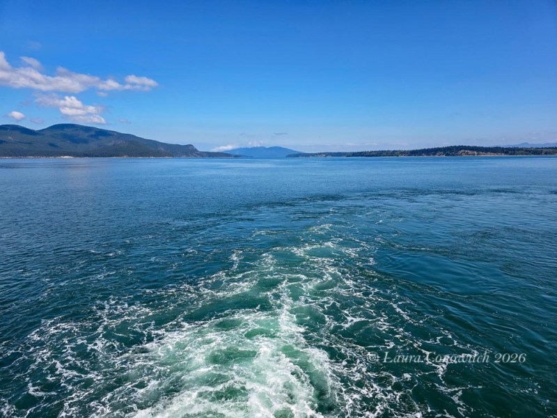 Chelan Ferry from Anacortes to Orcas Island