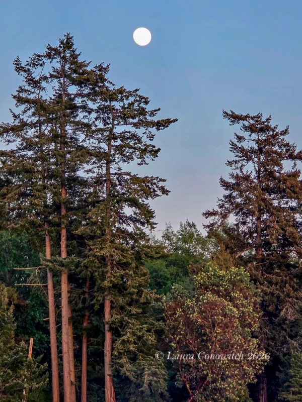 West Beach Resort-Orcas Island