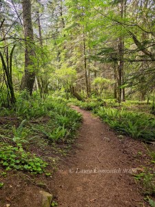 Obstruction Pass State Park-Orcas Island
