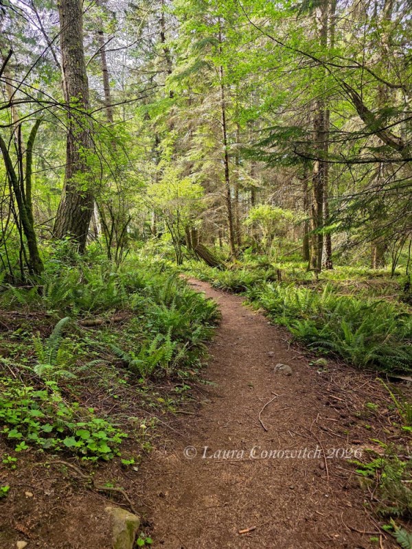 Obstruction Pass State Park-Orcas Island