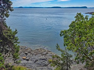 Obstruction Pass State Park-Orcas Island