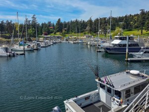 Outer Islands Excursions