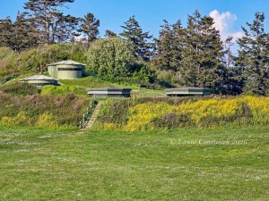 Fort Casey State Park