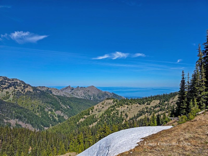 Hurricane Ridge