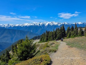 Hurricane Ridge