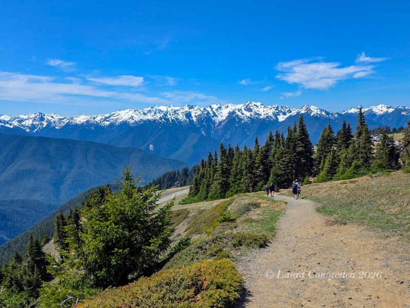 Hurricane Ridge
